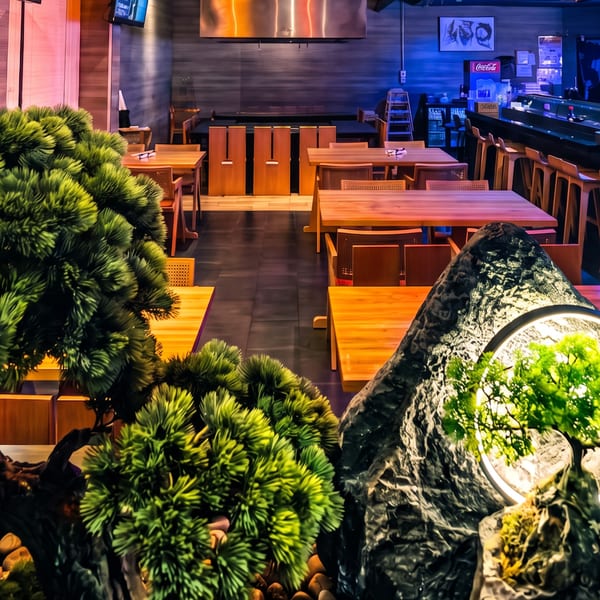Dimly lit restaurant interior with wooden tables, a sushi bar, and green decorative plants.